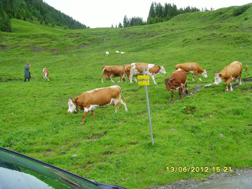 Отель Feriendorf Ponyhof Fusch an der Grossglocknerstrasse Экстерьер фото