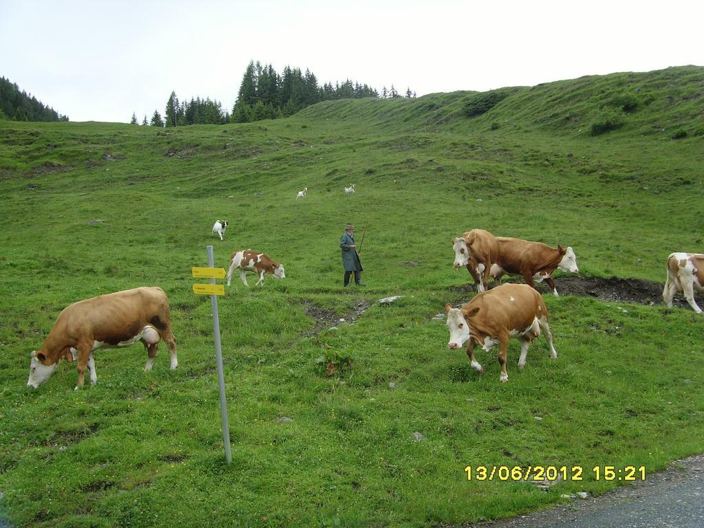 Отель Feriendorf Ponyhof Fusch an der Grossglocknerstrasse Экстерьер фото